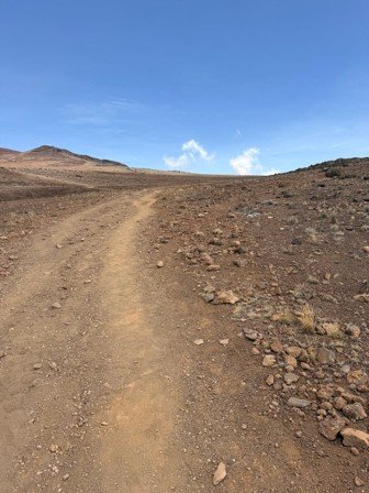 Alpine desert